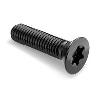 Boulons à tête plate M2 M3 M4 M5 M6 M8 M10, vis Torx à tête fraisée en acier inoxydable 304 noir, 10 pièces, M6x50-316 noir