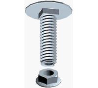 boulons - trcc - 6 x 20 - in304l - boite de 100 - cablofil 801018