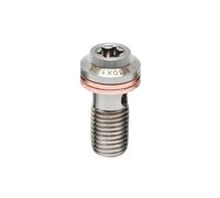 Boulons universels en Acier Inoxydable for Moto, maître-Cylindre de Frein, Tuyau, Boulon d'étrier, vis d'embrayage hydraulique M10 1.25