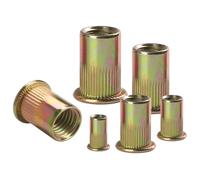 BOUMVID 30 Pièces M5 écrous à Sertir, Ronds Aveugles Insers Fileté Riveteuse, Écrou Insert Riveter Manchon en Acier Au Carbone Galvanisé, Écrous à Rivets Flat Head Threaded Rivet Nuts