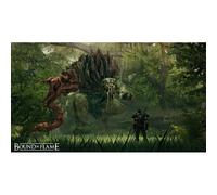 Bound by flame [import allemand]