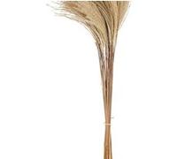 bouquet 50 pompons plumeaux 85cm nature - arty fetes factory 91406