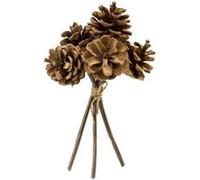 bouquet 6 pommes de pin véritables 20x12cm nature - hobi dek0785 Gris G