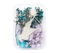 Bouquet Artificiel 1 boîte de Vraies Fleurs séchées en résine, Fleur époxy pour la Fabrication de Bijoux en résine époxy, Fournitures Artisanales, Accessoires ( ne m'oubliez Pas) ( M, One Size)