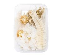 Bouquet Artificiel 1 boîte de Vraies Fleurs séchées en résine, Fleur époxy pour la Fabrication de Bijoux en résine époxy, Fournitures Artisanales, Accessoires ( ne m'oubliez Pas) ( K, One Size)