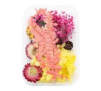 Bouquet Artificiel 1 boîte de Vraies Fleurs séchées en résine, Fleur époxy pour la Fabrication de Bijoux en résine époxy, Fournitures Artisanales, Accessoires ( ne m'oubliez Pas) ( O, One Size)