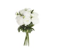 Atmosphera - Bouquet artificiel de 13 Pivoines - H. 50 cm - Blanc Blanc G