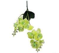 Bouquet de 12 fleurs d'orchidée papillon artificielles avec tiges de 50 cm pour décoration de mariage et utilisation florale d'intérieur (vert)