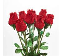 Coffret de 9 Roses Eternelles FISHTEC Parfumées - Cadeau pour Femme et Fete des Mères Rouge