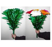 Bouquet de fleurs (5 fleurs) - Scène Magie / Tour de magie / Accessoires de magie / Tour de fête / Gimmick magique