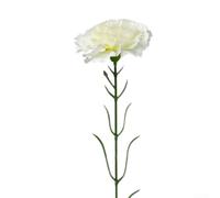 Bouquet de fleurs artificielles en soie à une branche pour arrangements floraux et décoration d'intérieur avec un aspect et un matériau naturels réalistes (blanc crème)