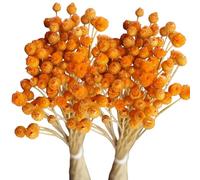 Bouquet de Fleurs Orange séchées, 2pcs de Vraies tiges séchées pour Vase Home Wedding Table Centor / 15, 8 Pouces
