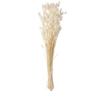 Bouquet de Fleurs "Queue de Lièvre" 86cm Écru
