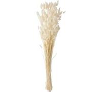 Bouquet de Fleurs Queue de Lièvre 86cm Ecru
