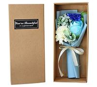 Bouquet de Fleurs Roses Œillet à Savon parfumé Boîte à Cadeaux pour la Saint-Valentin Fête des mères Fête de Thanksgiving Anniversaire Noël Anniversaire Creative Cadeau (A)