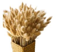 Bouquet De Fleurs Sechees Bouquets de Fleurs Naturelles séchées en Herbe Pampa « Ne m'oubliez Pas » for Salle Bain, Table à Manger, Centre, décorations for la Maison(100pcs-01)