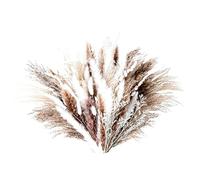 Bouquet De Fleurs Sechees Bouquets de Fleurs Naturelles séchées en Herbe Pampa « Ne m'oubliez Pas » for Salle Bain, Table à Manger, Centre, décorations for la Maison(80PCS B)