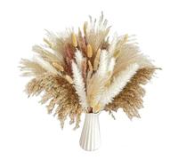 Bouquet De Fleurs Sechees Bouquets de Fleurs Naturelles séchées en Herbe Pampa « Ne m'oubliez Pas » for Salle Bain, Table à Manger, Centre, décorations for la Maison(80PCS A no Vase)