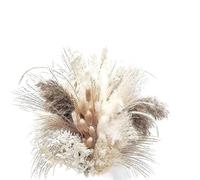 Bouquet De Fleurs Sechees Bouquets de Fleurs Naturelles séchées en Herbe Pampa « Ne m'oubliez Pas » for Salle Bain, Table à Manger, Centre, décorations for la Maison(80PCS A)