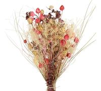 Bouquet de fleurs séchées Décoration Boho Chardon-fraise & Flocon de fleurs en rouge Pâle, Fidèle à la nature 150g