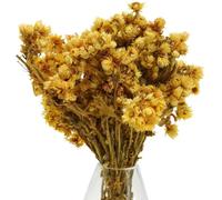 Bouquet de fleurs séchées en filigrane pour une décoration polyvalente