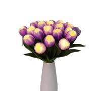 Bouquet de Fleurs séchées Exotiques Bouquet de Tulip Intemporel coloré, 20pcs Fleurs artificielles, adaptées aux Dames Cadeaux de la Cuisine de la Maison de Cuisine décoration de Table de Vacances