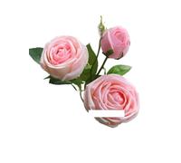 Bouquet de fleurs séchées exotiques magnifiquement décorée tige de rose avec bourgeon, Bouquet artificiel de la branche de 5 PCS, adapté aux fêtes de mariage, arrangement de décoration florale (pas de