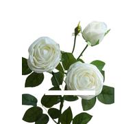 Bouquet de Fleurs séchées Exotiques Magnifiquement décorée Tige de Rose avec Bourgeon, Bouquet Artificiel de la Branche de 5 PCS, adapté aux fêtes de Mariage, Arrangement de décoration Florale (Pas