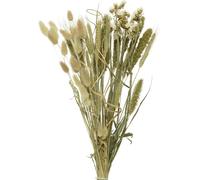 Bouquet de fleurs séchées Fleurs et herbes Mix 45cm vert naturel 1 bouquet