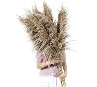 Bouquet De Fleurs Sechees Herbe de la Pampa Haute, 80-120 cm, Fleur séchée Vintage Florale Marron Naturelle, Grande Plante for Bouquet décoration Salon(80-120cm-07,10pcs)