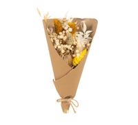 Bouquet de fleurs séchées marron 3x30x13cm Marron