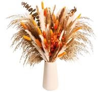 Bouquet de Fleurs séchées Multicolores 17,5 Pouces, Bouquet de Pampas Grass, déco bohème en Herbes de Pampas Naturelles, Bouquet Floral séché pour Maison, Mariage, fête