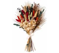 Bouquet de Fleurs séchées Naturelles, 55 tiges avec 10 graminées variées, Composition Florale Multicolore préservée, 43 cm, déco bohème Moderne pour Maison, Bureau, Salon et Chambre