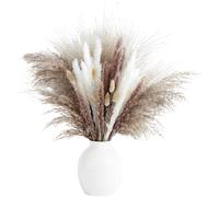 Bouquet de Fleurs séchées Naturelles Multicolores, Composition de Pampas 43 x 5 x 5 cm, Texture Moelleuse et Superposition généreuse, prêt à l'emploi, décoration Florale rétro pour Maison et fête