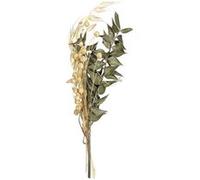 Bouquet de fleurs séchées naturelles - Rayher Multicolore G