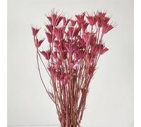 Bouquet de fleurs séchées octogonales 135 g, environ 20 pouces, bouquet de fleurs séchées d'anis étoilé fabriqué à la main, décoration d'intérieur artisanale, enchantement intemporel, transmettant une