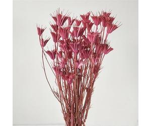 Bouquet de fleurs séchées octogonales 135 g, environ 20 pouces, bouquet de fleurs séchées d'anis étoilé fabriqué à la main, décoration d'intérieur artisanale, enchantement intemporel, transmettant une
