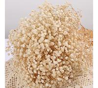 Bouquet de Fleurs séchées pour bébé, 43.7 cm, Plus de 2000 Fleurs Blanches Ivoire, Branches de gypsophile Naturelles pour Mariage, Couronne Florale, décoration de fête de Bureau