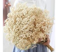 Bouquet de fleurs séchées pour bébé, 60g, fleurs sèches naturelles, gypsophile, décoration de mariage, saint-valentin, Table de maison, décor de noël Deep Purple