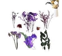 Bouquet de Fleurs Séchées | Tiges de Fleurs Séchées Naturelles Conservées | Décoration Maison pour Printemps Automne Noël Mariage Création Bijoux Décoration Gâteaux