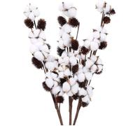 Bouquet de Fleurs Séchées - YNKKVRE - Coton Naturel - 3 pièces - 72,5 cm - Non Toxiques