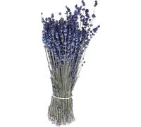 Bouquet de lavande séchée Déco Fleur séchée Bleu 75g 25cm
