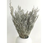 Bouquet de limonium naturel préservé pour la Saint-Valentin, véritable caspia bellidifolium, lavande de mer pour décoration de mariage, maison, couronne de porte, décoration de table de fête (naturel)