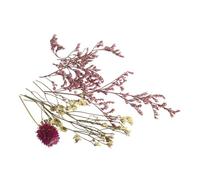 Bouquet de minis fleurs séchées roses