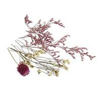 Bouquet de minis fleurs séchées roses Multicolore G