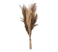 Atmosphera Créateur d'intérieur - Bouquet de Fleurs Séchées "Pampa" 58cm Naturel G