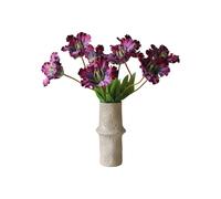 Bouquet de Parrot Tulip violet
