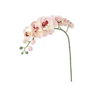 Bouquet De Tiges De Fleurs D'orchidée En Soie Artificielle Simulation D'orchidée Papillon Orchidées En Soie Arrangement De Phalaenopsis Plante De Fleurs À Main Pour Décoration De Maison Rose