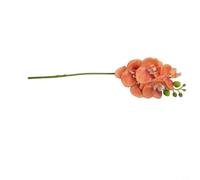 Bouquet de tiges d'orchidée phalaenopsis artificielles au toucher réaliste pour la maison, la décoration de table de mariage, matériau en PVC souple, 5 têtes blanches ou (orange)