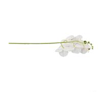 Bouquet de tiges d'orchidée phalaenopsis artificielles de 45 cm au toucher réaliste pour la maison, la décoration de table de mariage, matériau en PVC souple, 5 têtes blanches ou blanches